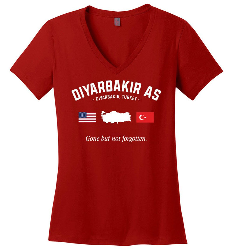 Load image into Gallery viewer, Diyarbakir AS &quot;GBNF&quot; - Women&#39;s V-Neck T-Shirt

